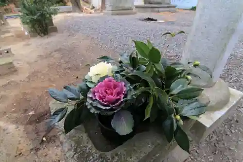 熊野福藏神社の手水