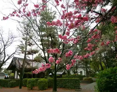 忍　諏訪神社・東照宮　(埼玉県)