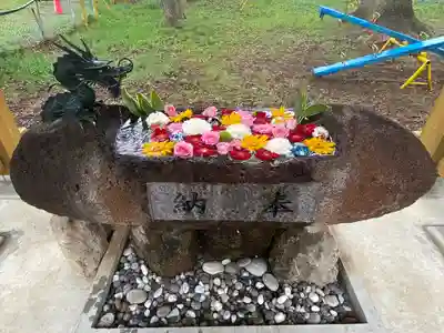 帯広三吉神社の手水舎