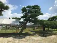 唐崎神社(滋賀県)