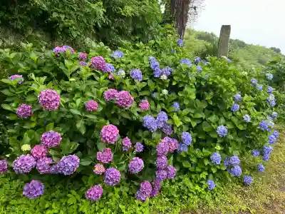 粟井神社(香川県)