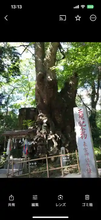 來宮神社(静岡県)