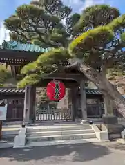 長谷寺(神奈川県)