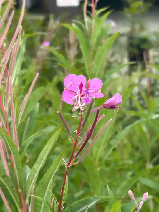 諏訪大社下社秋宮(長野県)
