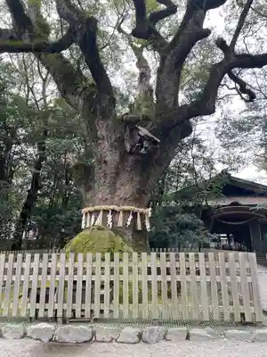 熱田神宮(愛知県)