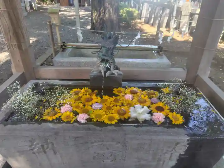 玉前神社(千葉県)