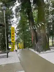 聖神社(埼玉県)