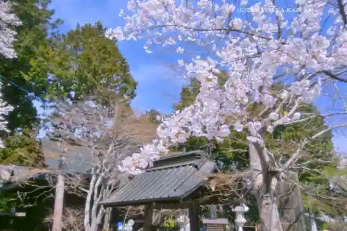 冨士御室浅間神社(山梨県)