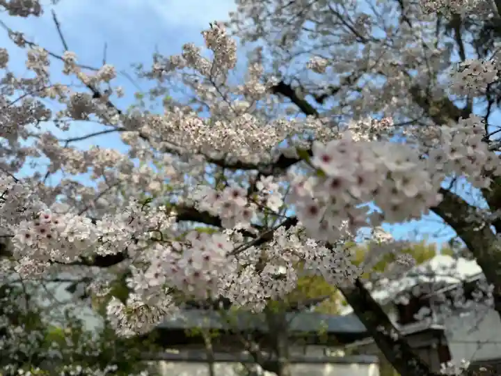 伊勢の国 四天王寺(三重県)
