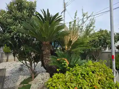 満徳寺(大阪府)