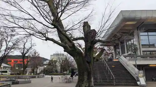 平安神宮(京都府)
