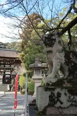 松尾大社(京都府)