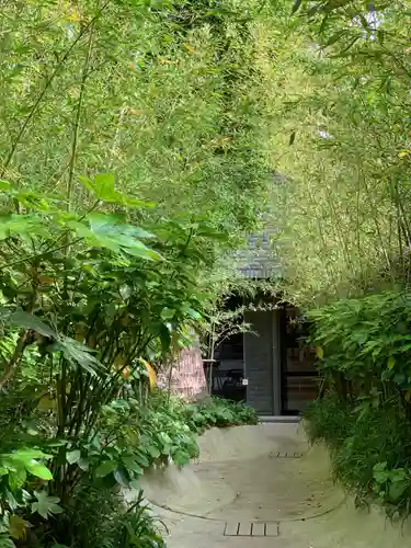 來宮神社の自然