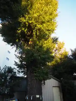 腰掛稲荷神社(東京都)