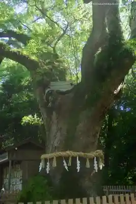 熱田神宮(愛知県)