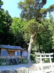 諏訪神社の鳥居