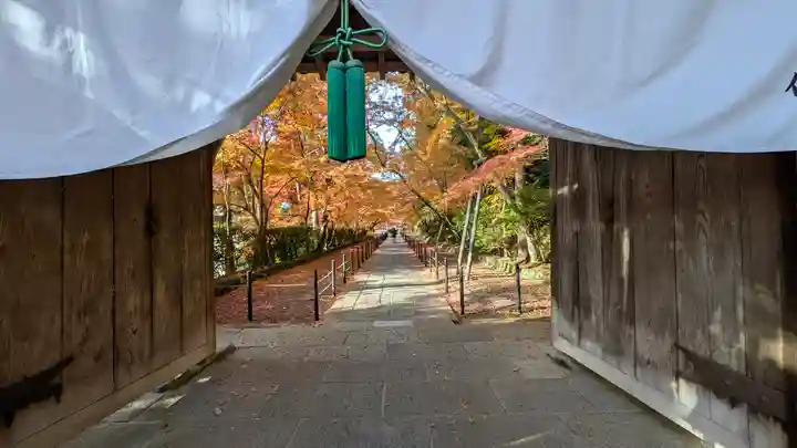 光明寺(粟生光明寺)(京都府)