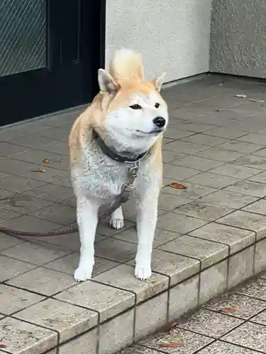 笠䅣稲荷神社(神奈川県)