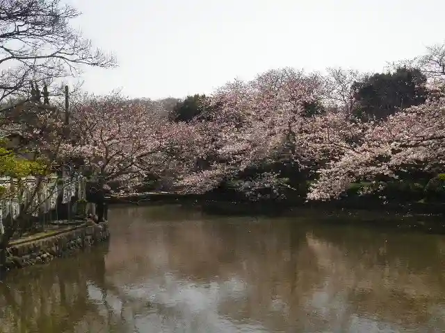 鶴岡八幡宮の庭園