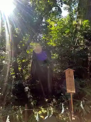 香取神宮(千葉県)