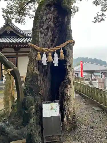 八幡竃門神社(大分県)