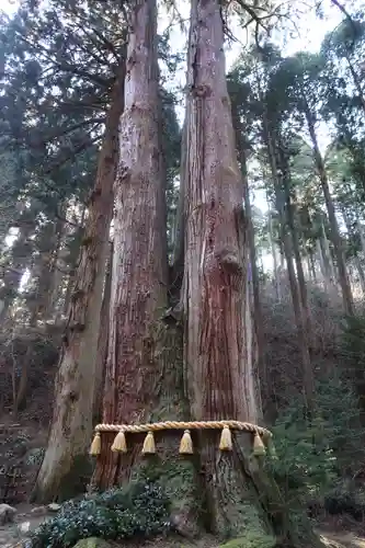 御岩神社の自然