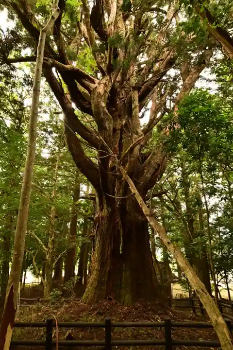 鉾神社(徳島県)