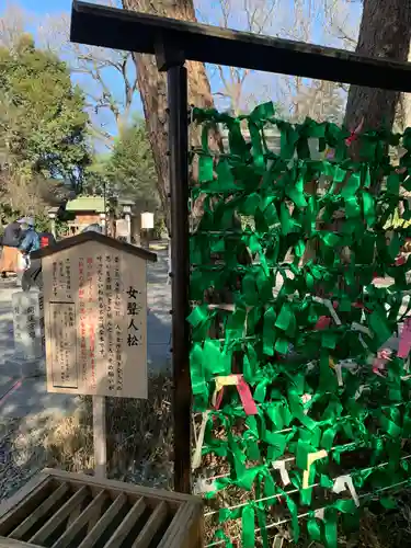 櫻木神社のその他建物