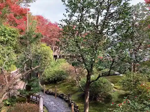 華厳寺（鈴虫寺）の庭園