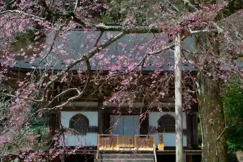室生寺の本殿・本堂