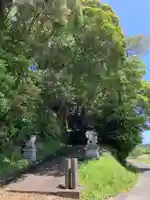 天照大神社の狛犬