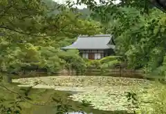 龍安寺の建物その他