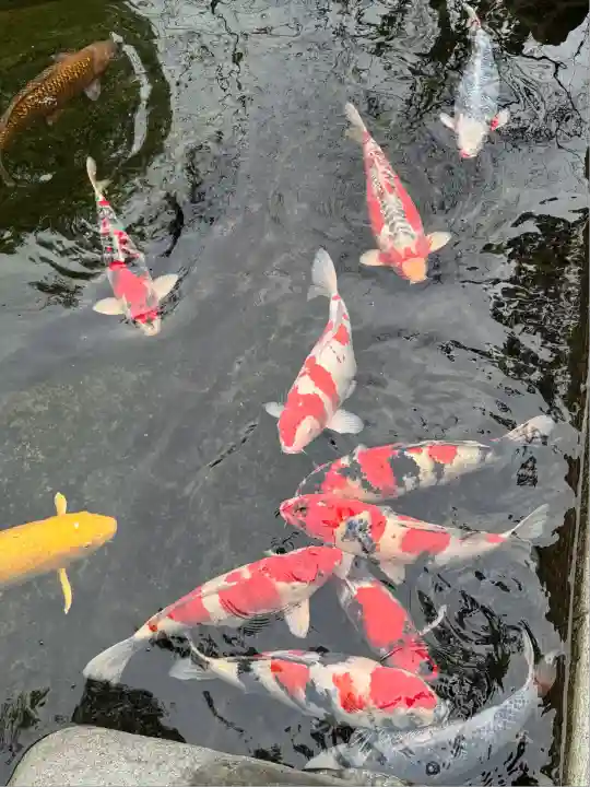 愛宕神社(東京都)
