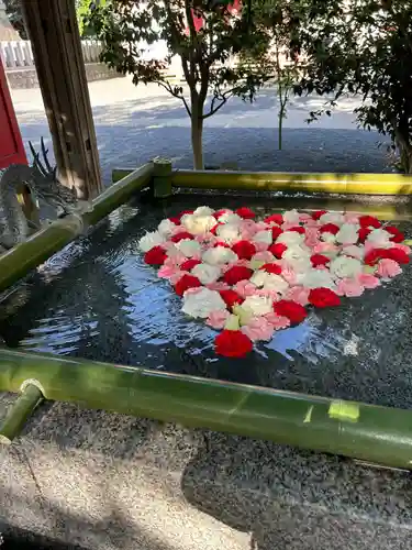 布施弁天 東海寺(千葉県)