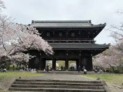 根来寺の{uncategorized: "未分類", other: "その他", undefined: "問題あり", building: "その他建物", grave: "お墓", sacred_gate: "鳥居", guardian: "狛犬", statue: "像", buddha: "仏像", history: "歴史", nature: "自然", garden: "庭園", animal: "動物", pagoda: "塔", temizu: "手水舎", mountain_gate: "山門・神門", sanctuary: "本殿・本堂", subordinate: "末社・摂社", art: "芸術", scenery: "景色", jizo: "地蔵", ema: "絵馬", goshuin: "御朱印", omikuji: "おみくじ", items: "授与品その他", amulet: "お守り", goshuincho: "御朱印帳", eats: "食事", festival: "お祭り", votive_dance: "神楽", shichigosan: "七五三参", wedding: "結婚式", experience: "体験その他", initially: "初詣", around: "周辺", anti_infection: "感染症対策"}