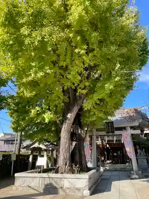飛木稲荷神社(東京都)