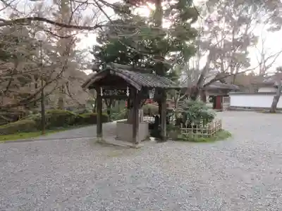 今熊野観音寺の手水舎