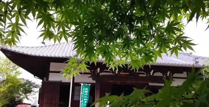 洞雲寺の自然