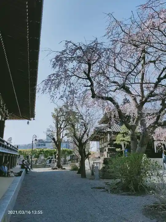 本覚寺のその他建物