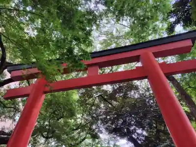 花園神社の鳥居