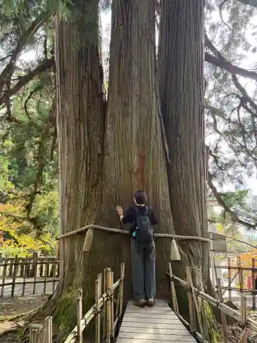 戸隠神社中社(長野県)