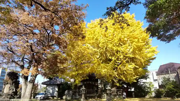 根岸八幡神社(神奈川県)