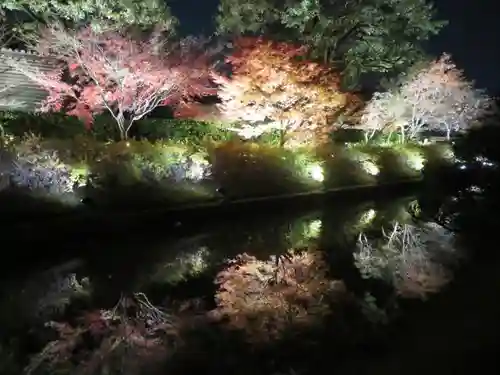 東寺（教王護国寺）の庭園