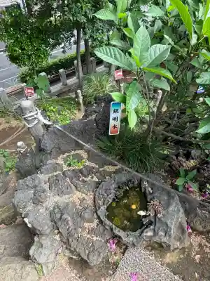 千駄ヶ谷冨士浅間神社の{uncategorized: "未分類", other: "その他", undefined: "問題あり", building: "その他建物", grave: "お墓", sacred_gate: "鳥居", guardian: "狛犬", statue: "像", buddha: "仏像", history: "歴史", nature: "自然", garden: "庭園", animal: "動物", pagoda: "塔", temizu: "手水舎", mountain_gate: "山門・神門", sanctuary: "本殿・本堂", subordinate: "末社・摂社", art: "芸術", scenery: "景色", jizo: "地蔵", ema: "絵馬", goshuin: "御朱印", omikuji: "おみくじ", items: "授与品その他", amulet: "お守り", goshuincho: "御朱印帳", eats: "食事", festival: "お祭り", votive_dance: "神楽", shichigosan: "七五三参", wedding: "結婚式", experience: "体験その他", initially: "初詣", around: "周辺", anti_infection: "感染症対策"}