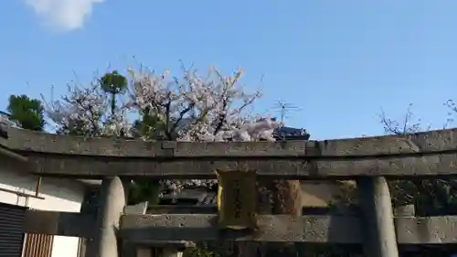 安樂寺天満宮の鳥居