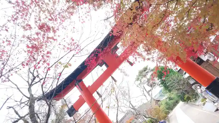 宇治上神社(京都府)