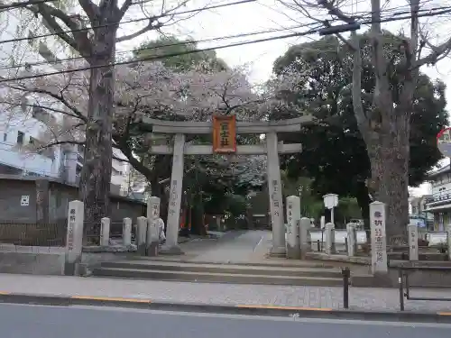 駒込富士神社の鳥居