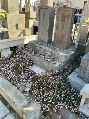 円徳寺(東京都)