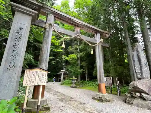 戸隠神社宝光社の鳥居