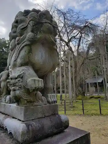 足羽神社の狛犬